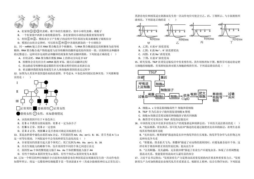 2025届湖北省襄阳五中高三上学期9月考-生物试题+答案第2页