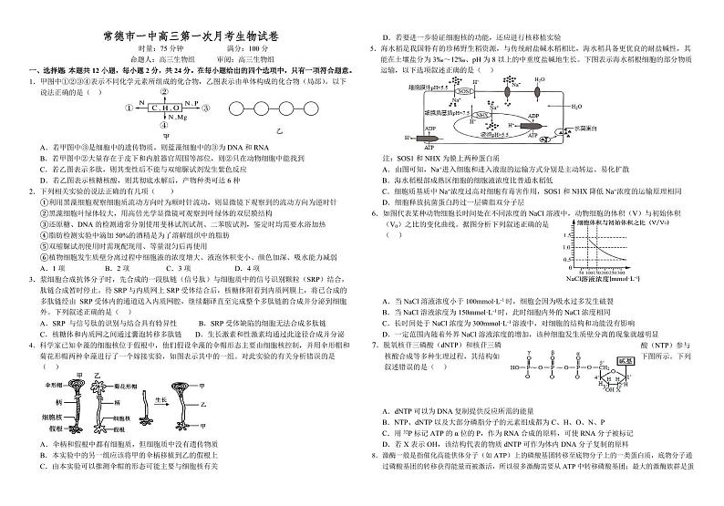 2025届湖南省常德一中高三上学期9月月考-生物试题+答案第1页