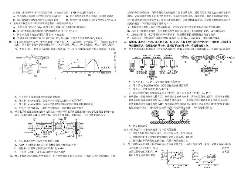 2025届湖南省常德一中高三上学期9月月考-生物试题+答案第2页