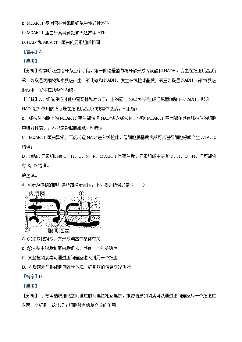江苏省常州市天宁区常州市第一中学2024-2025学年高三上学期10月月考生物试题（原卷及解析版）03