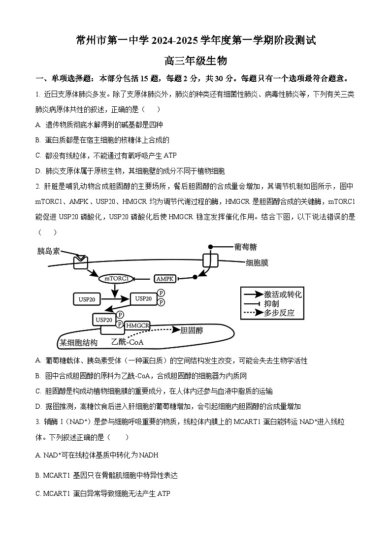 江苏省常州市天宁区常州市第一中学2024-2025学年高三上学期10月月考生物试题（原卷及解析版）01