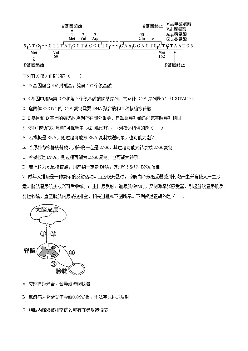 江苏省南通市海安市实验中学2024-2025学年高三上学期10月月考生物试题（原卷版）第2页