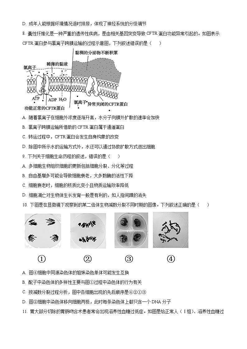 江苏省南通市海安市实验中学2024-2025学年高三上学期10月月考生物试题（原卷版）第3页