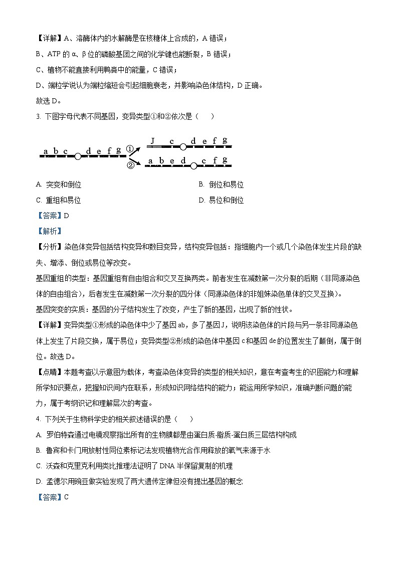 江苏省南通市海安市实验中学2024-2025学年高三上学期10月月考生物试题（解析版）第2页