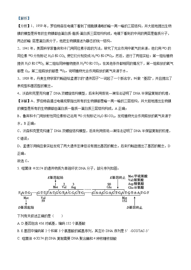 江苏省南通市海安市实验中学2024-2025学年高三上学期10月月考生物试题（解析版）第3页