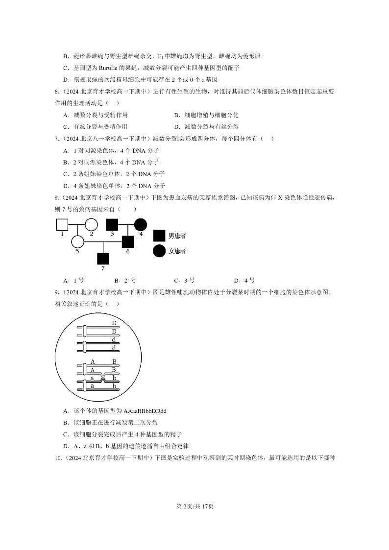 2024北京重点校高一下学期期中真题生物分类汇编：基因和染色体的关系章节综合（单选题）2第2页