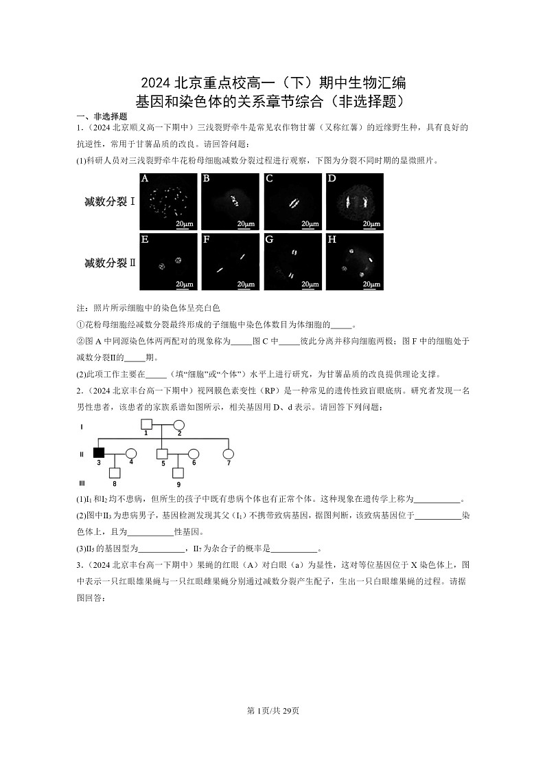 2024北京重点校高一下学期期中真题生物分类汇编：基因和染色体的关系章节综合（非选择题）第1页