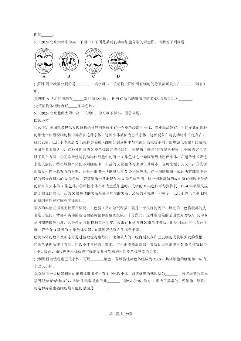 2024北京重点校高一下学期期中真题生物分类汇编：基因和染色体的关系章节综合（非选择题）第3页