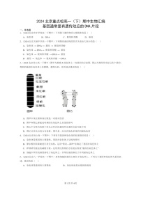 2024北京重点校高一下学期期中真题生物分类汇编：基因通常是有遗传效应的DNA片段