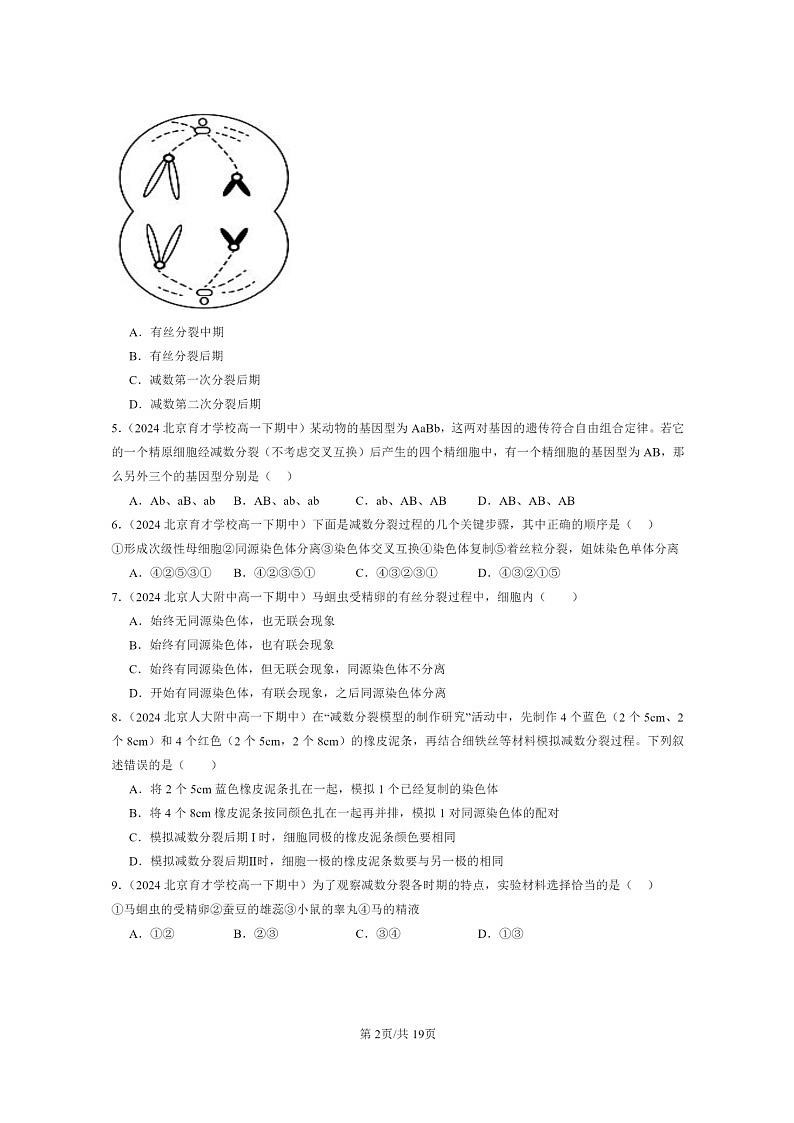 2024北京重点校高一下学期期中真题生物分类汇编：减数分裂和受精作用（单选题）1第2页