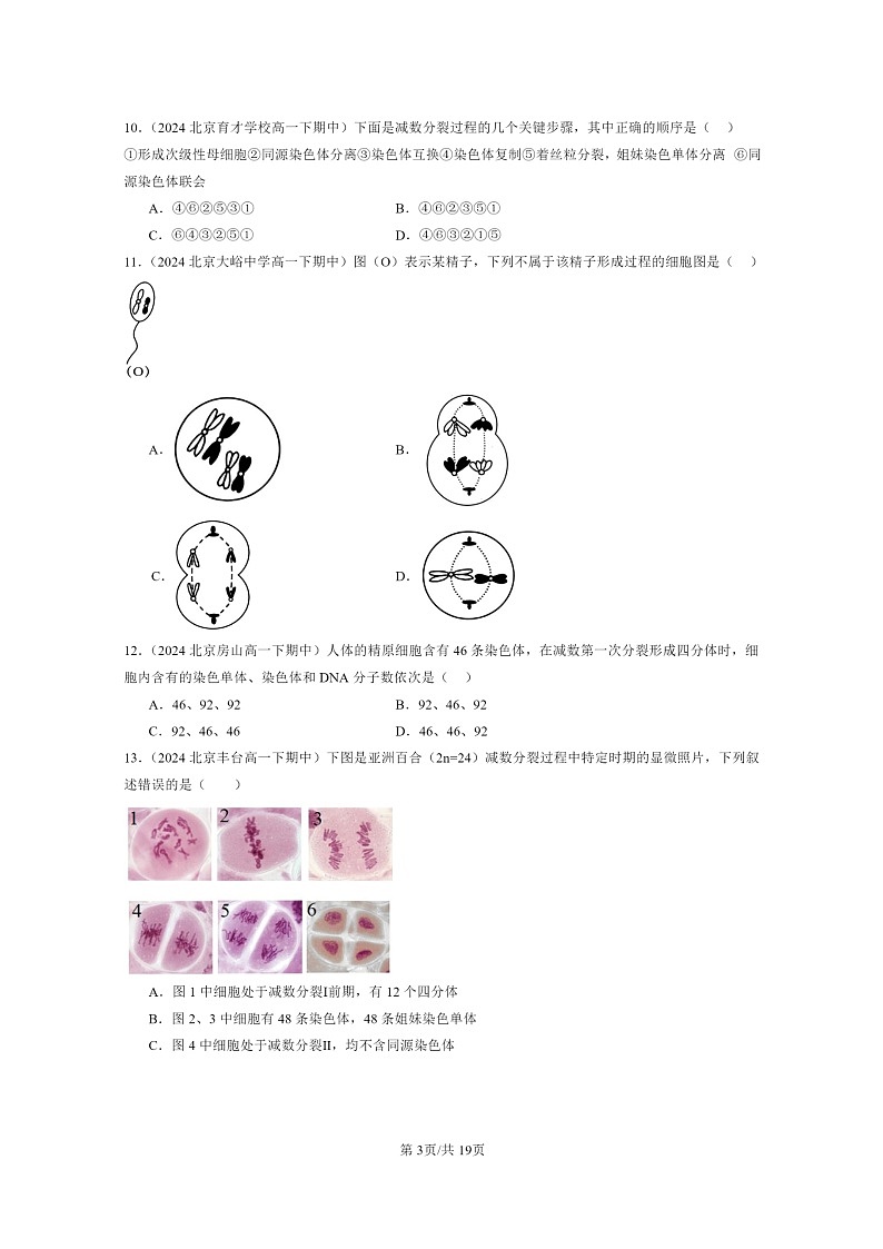 2024北京重点校高一下学期期中真题生物分类汇编：减数分裂和受精作用（单选题）1第3页