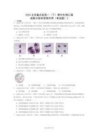 2024北京重点校高一下学期期中真题生物分类汇编：减数分裂和受精作用（单选题）2
