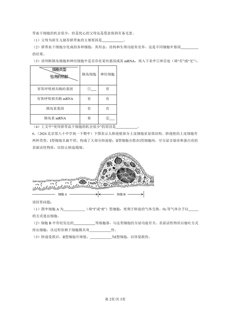 2024北京重点校高一下学期期中真题生物分类汇编：细胞的分化02