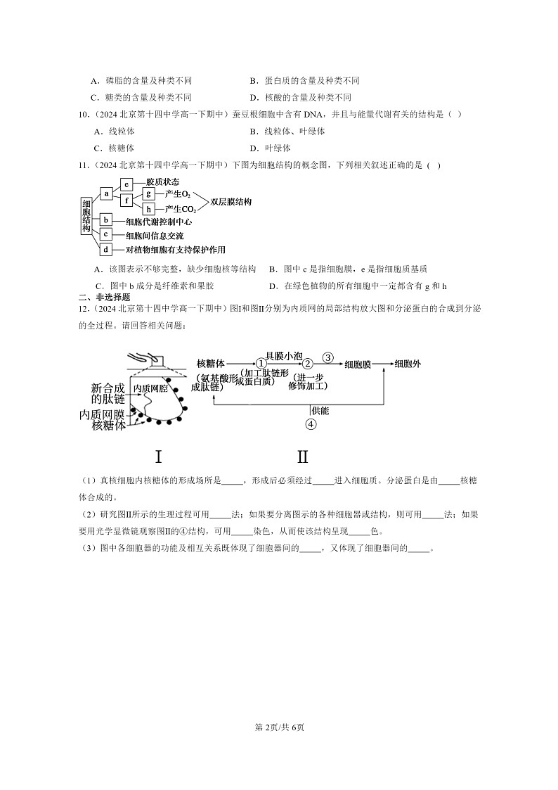 2024北京重点校高一下学期期中真题生物分类汇编：细胞的基本结构章节综合第2页