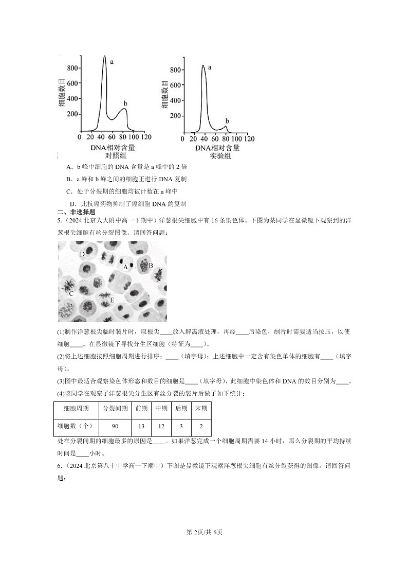 2024北京重点校高一下学期期中真题生物分类汇编：细胞的增殖第2页