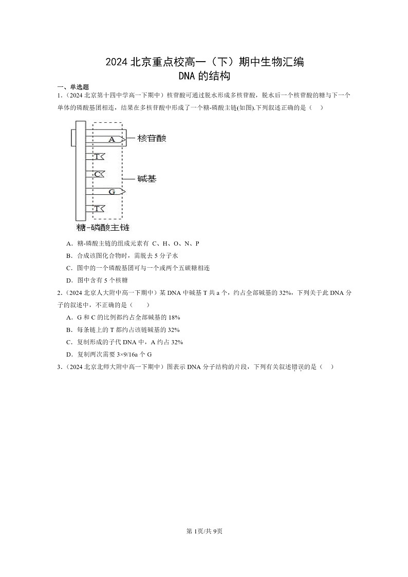 2024北京重点校高一下学期期中真题生物分类汇编：DNA的结构第1页