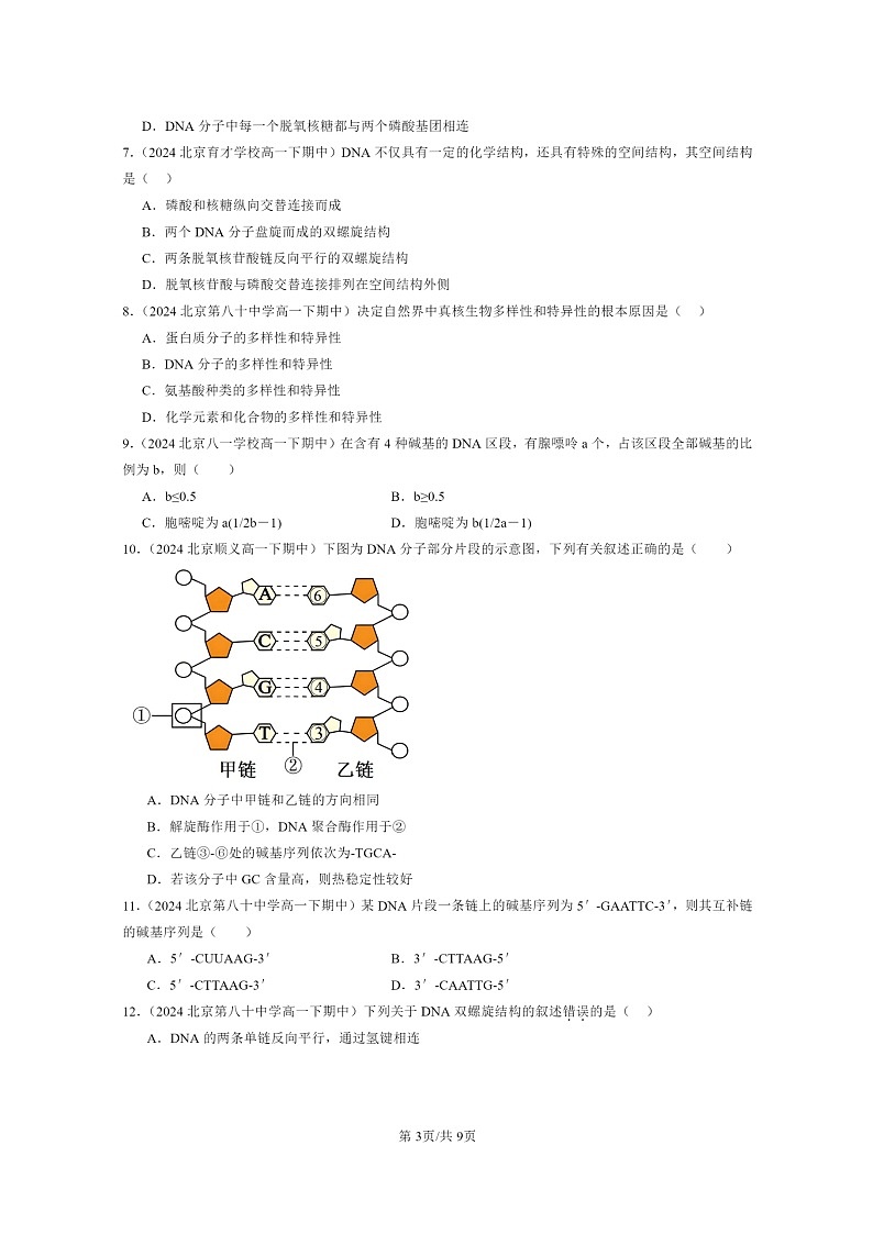 2024北京重点校高一下学期期中真题生物分类汇编：DNA的结构第3页