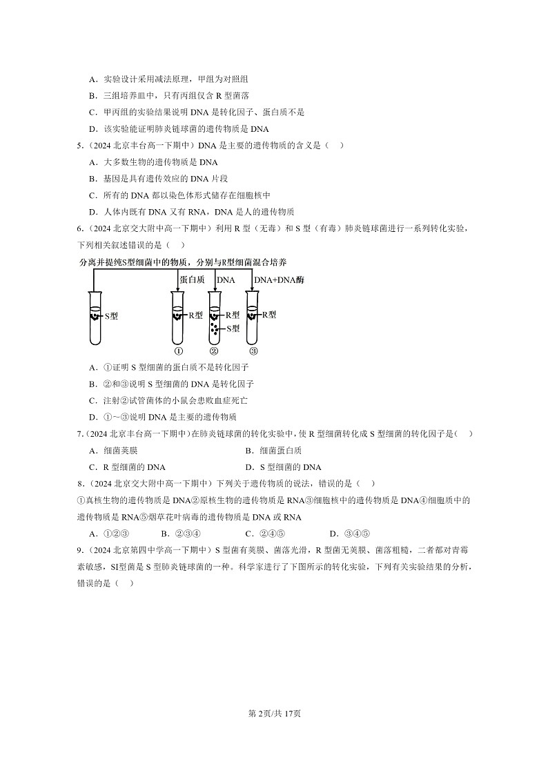 2024北京重点校高一下学期期中真题生物分类汇编：DNA是主要的遗传物质02