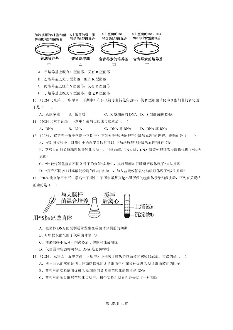 2024北京重点校高一下学期期中真题生物分类汇编：DNA是主要的遗传物质03