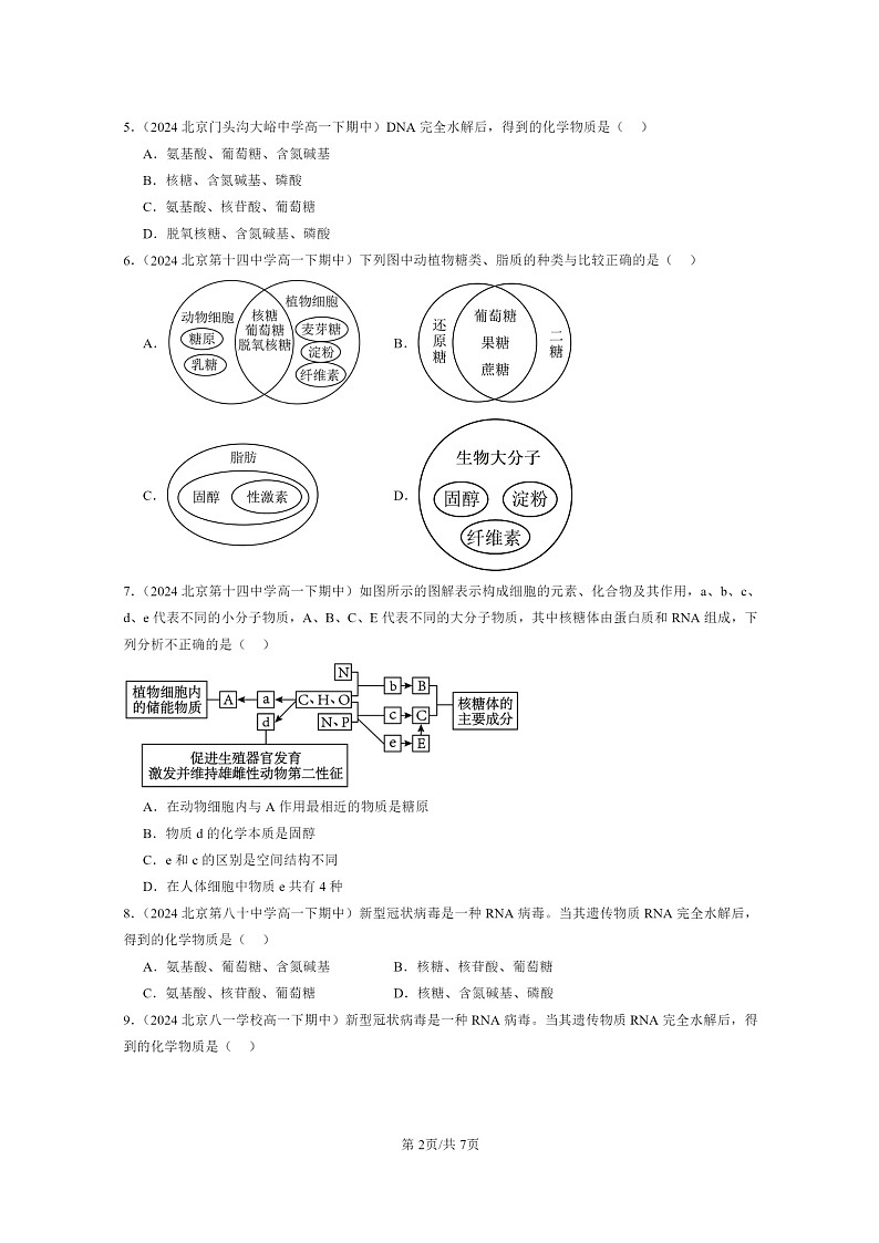 2024北京重点校高一下学期期中真题生物分类汇编：核酸是遗传信息的携带者第2页