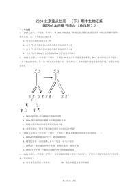 2024北京重点校高一下学期期中真题生物分类汇编：基因的本质章节综合（单选题）2