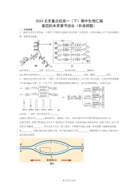 2024北京重点校高一下学期期中真题生物分类汇编：基因的本质章节综合（非选择题）