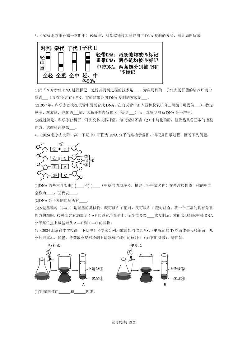 2024北京重点校高一下学期期中真题生物分类汇编：基因的本质章节综合（非选择题）第2页