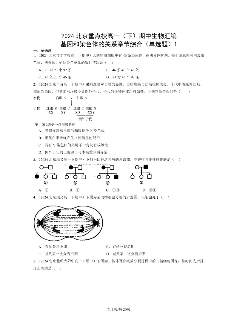 2024北京重点校高一下学期期中真题生物分类汇编：基因和染色体的关系章节综合（单选题）1第1页