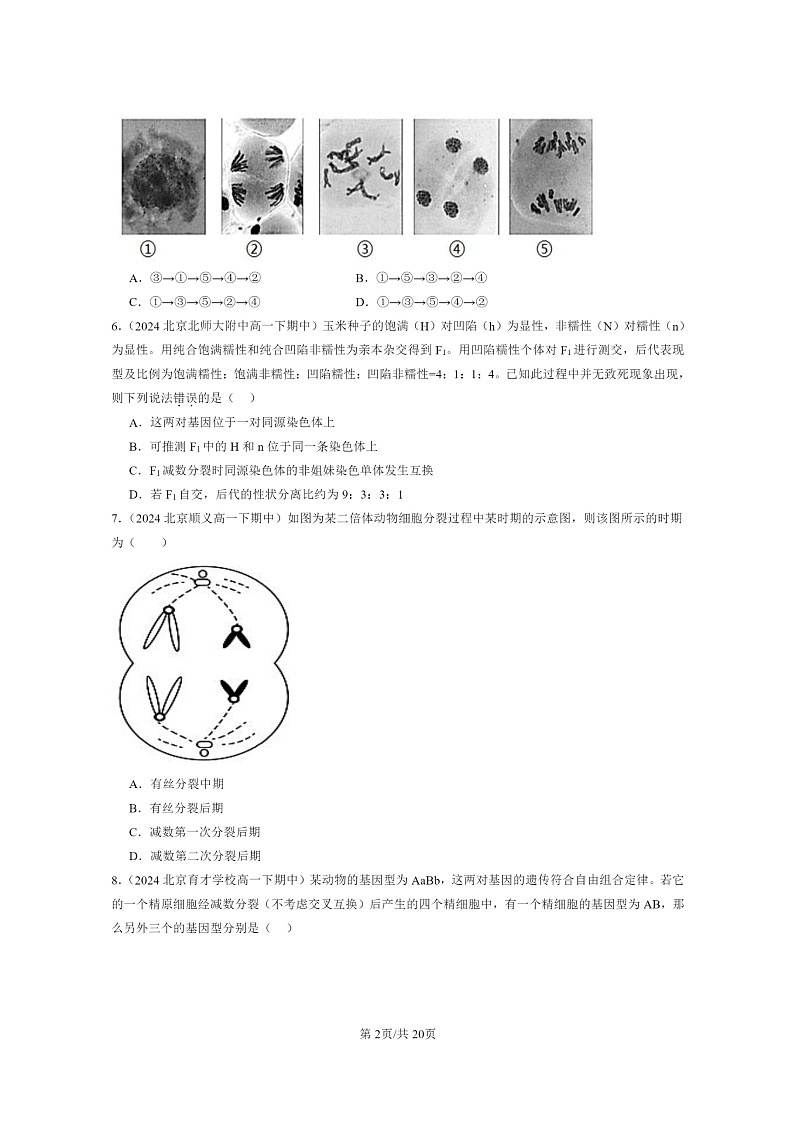 2024北京重点校高一下学期期中真题生物分类汇编：基因和染色体的关系章节综合（单选题）1第2页