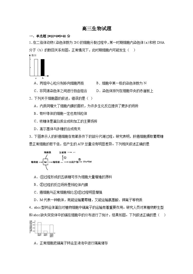 福建省漳州市华安县第一中学2024-2025学年高三上学期11月期中生物试题第1页