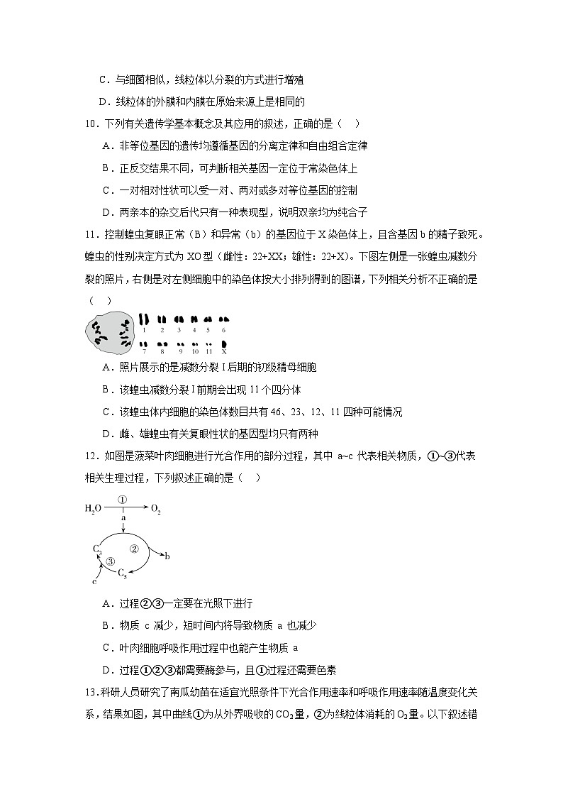 福建省漳州市华安县第一中学2024-2025学年高三上学期11月期中生物试题第3页