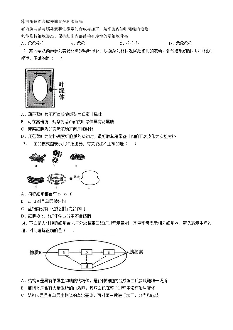 河北省邢台市第一中学2024-2025学年高一上学期期中考试生物试题(无答案)03