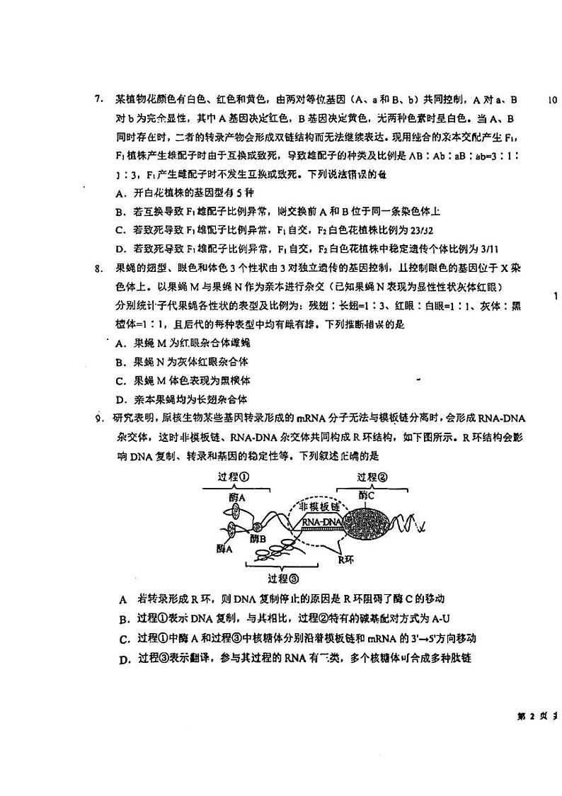 2025届吉林省东北师大附中高三上学期第一次月考-生物试题+答案第3页