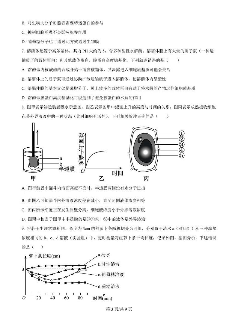 2025届宁夏银川一中高三上学期第二次月考-生物试卷+答案第3页