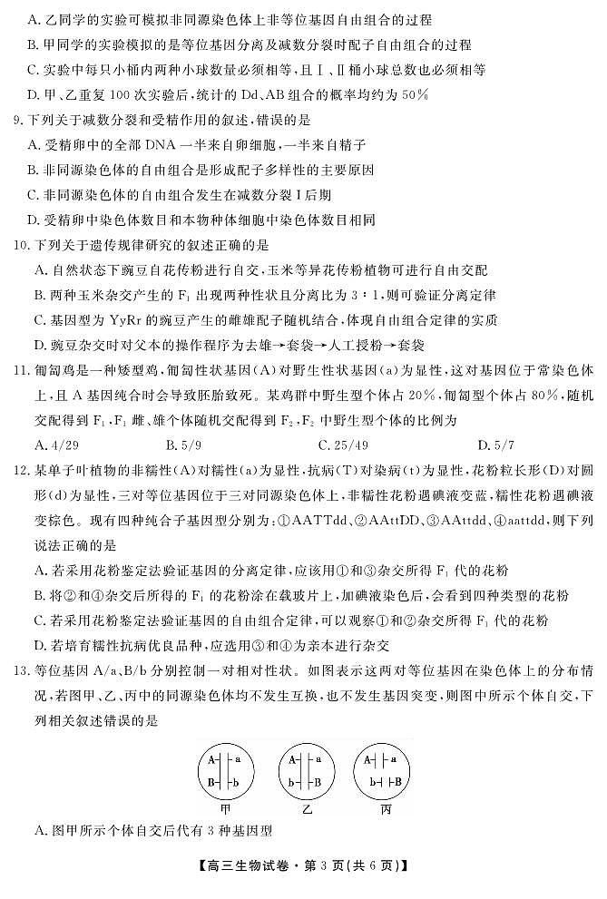安徽省六安市叶集区叶集皖西当代中学2024-2025学年高三上学期10月月考生物试题第3页