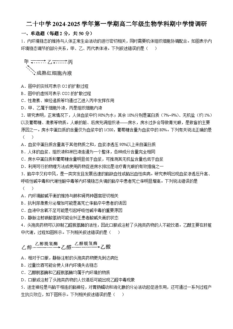 天津市第二十中学2024-2025学年高二上学期期中生物试卷(无答案)01