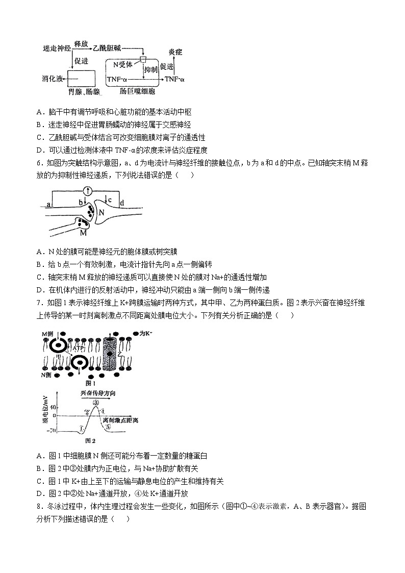 天津市第二十中学2024-2025学年高二上学期期中生物试卷(无答案)02