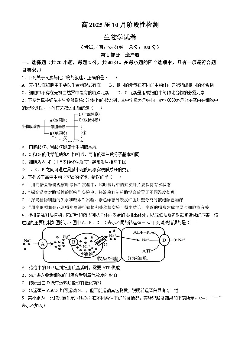 四川省内江市某校2024-2025学年高三上学期10月月考生物试题第1页