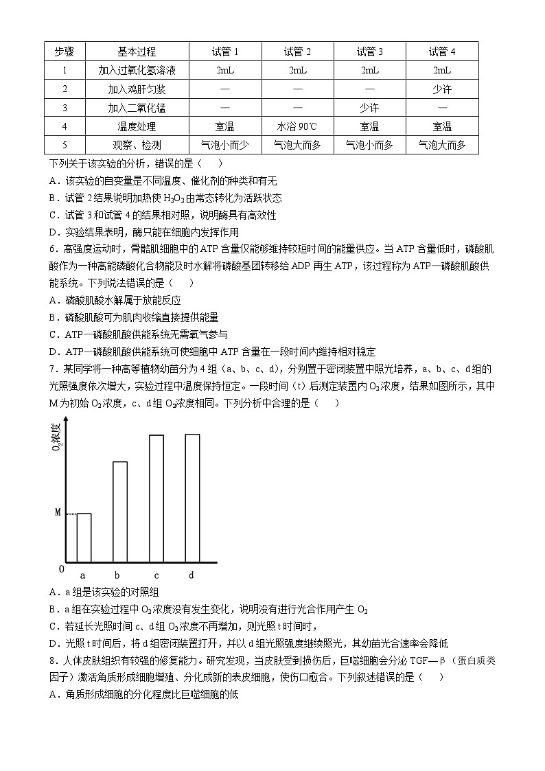 四川省内江市某校2024-2025学年高三上学期10月月考生物试题第2页