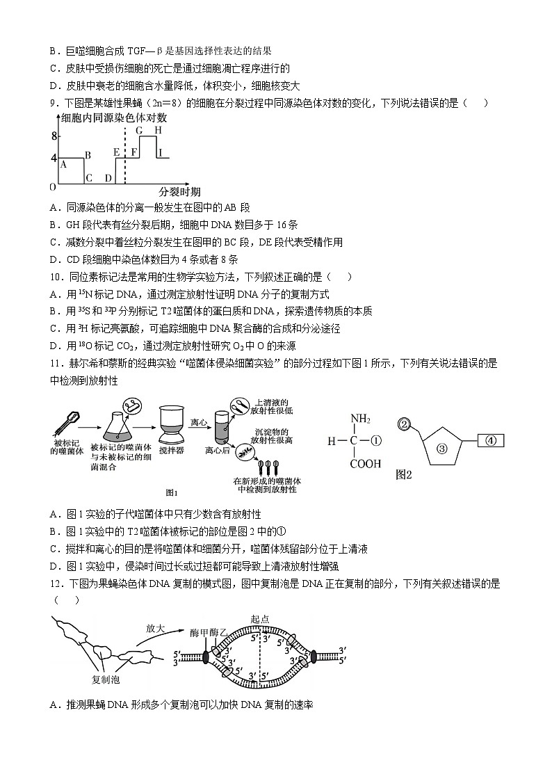 四川省内江市某校2024-2025学年高三上学期10月月考生物试题第3页