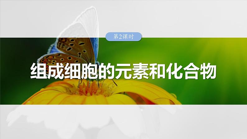 2025年高考生物一轮复习课件（新人教版） 第1单元　第2课时　组成细胞的元素和化合物第1页