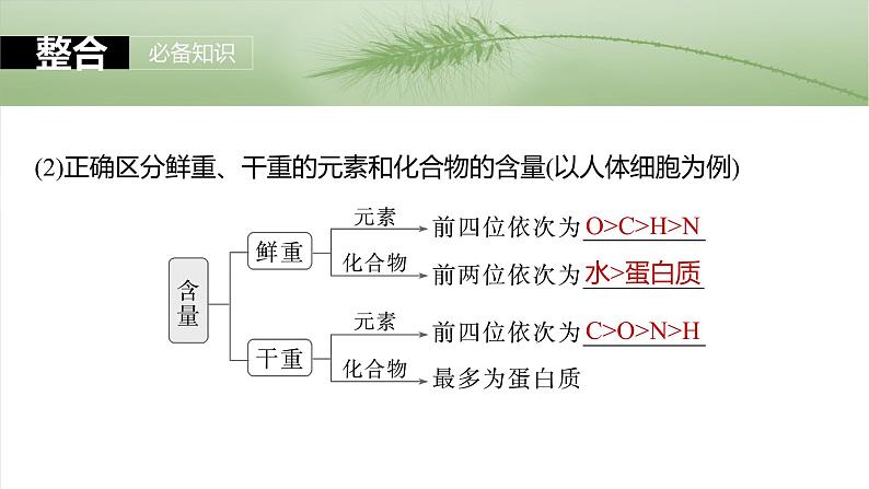 2025年高考生物一轮复习课件（新人教版） 第1单元　第2课时　组成细胞的元素和化合物第8页