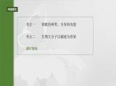 2025年高考生物一轮复习课件（新人教版） 第1单元　第5课时　核酸是遗传信息的携带者