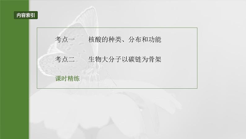 2025年高考生物一轮复习课件（新人教版） 第1单元　第5课时　核酸是遗传信息的携带者03