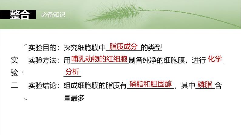 2025年高考生物一轮复习课件（新人教版） 第2单元　第6课时　细胞膜与细胞核的结构和功能第7页