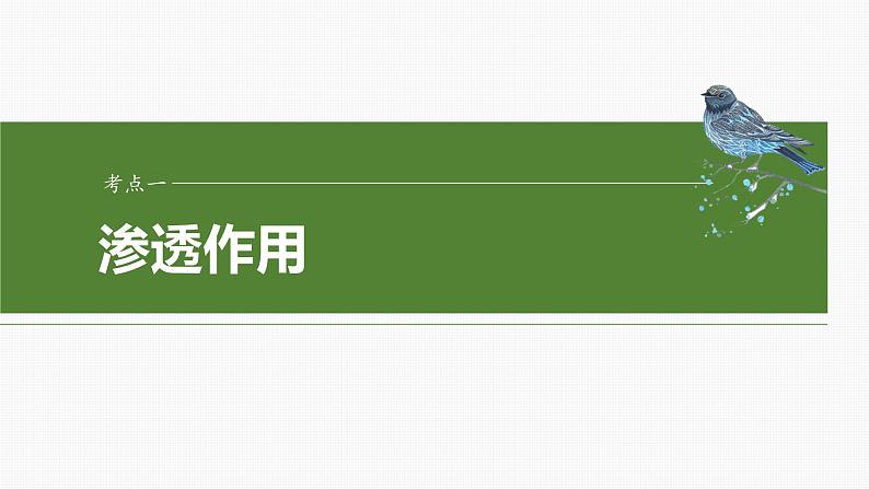 2025年高考生物一轮复习课件（新人教版） 第2单元　第9课时　水进出细胞的原理第4页