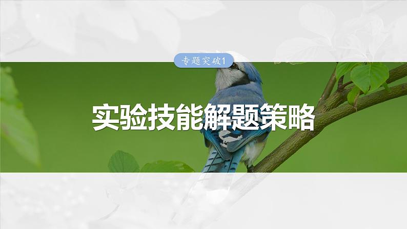 2025年高考生物一轮复习课件（新人教版） 第3单元　专题突破1　实验技能解题策略第1页