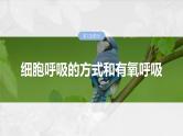2025年高考生物一轮复习课件（新人教版） 第3单元　第13课时　细胞呼吸的方式和有氧呼吸