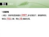 2025年高考生物一轮复习课件（新人教版） 第3单元　第14课时　无氧呼吸、细胞呼吸的影响因素及其应用