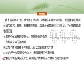2025年高考生物一轮复习课件（新人教版） 第5单元　专题突破5　基因分离定律拓展题型突破